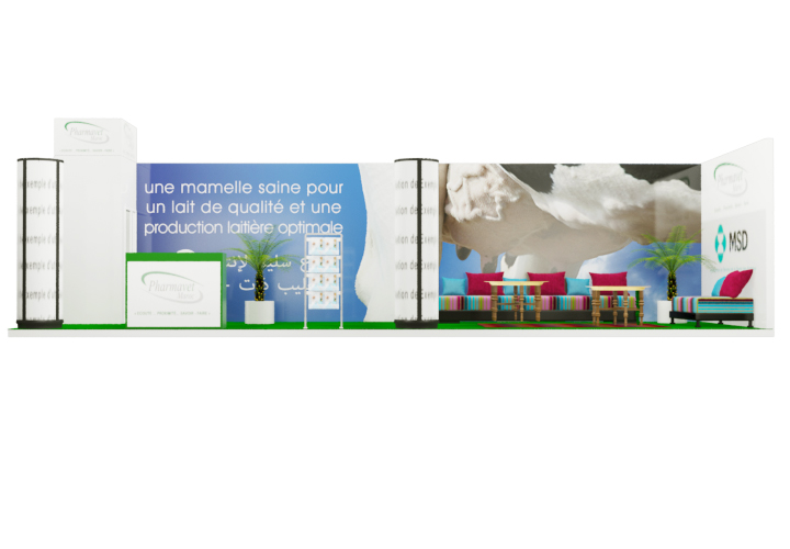 salon moderne
